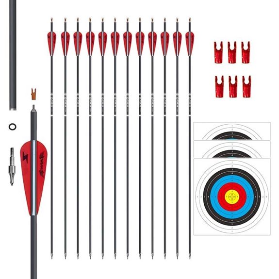 31-Inch Carbon Arrow Target Practice Pack of 12