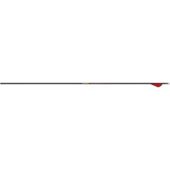 Gold Tip Hunter Arrows with Raptor Vane (Pack of 6)