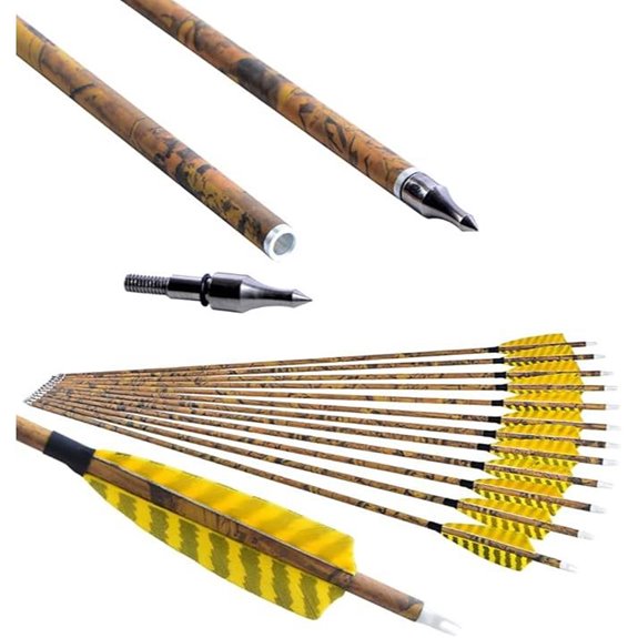 Archery Carbon Arrows with Removable Turkey Feather Tips (6/12)