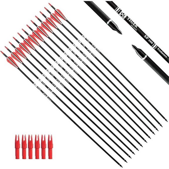 30-Inch Carbon Practice Arrows with Removable Tips (12)