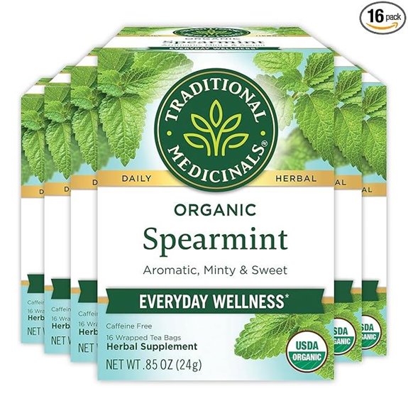 Traditional Medicinals Spearmint Tea for Wellness (96 Tea Bags 6 Pack)