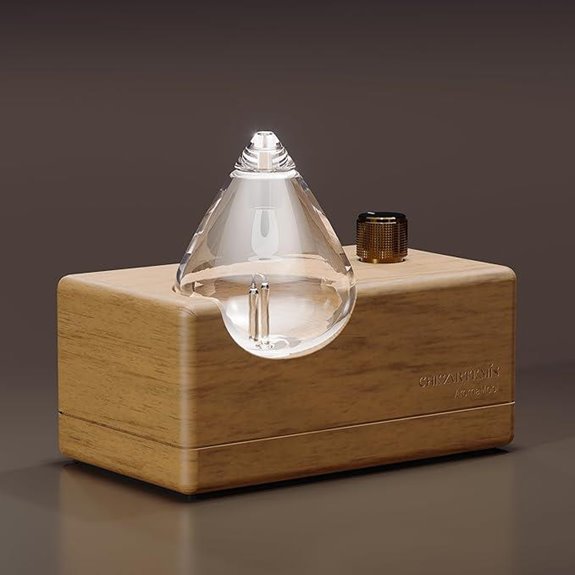 Waterdrop Essential Oil Diffuser with Wood Base
